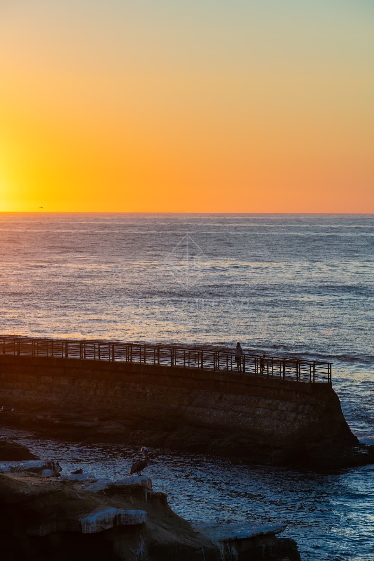 Elevated view of the cliffs, the pier and wildlife at La Jolla Cove, with people walking.