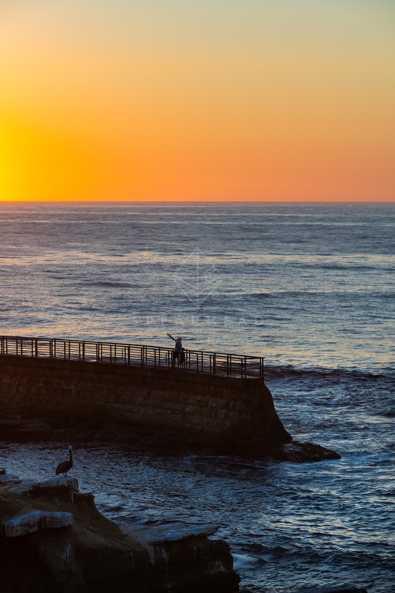 Elevated view of the cliffs, the pier and wildlife at La Jolla Cove, with people walking.