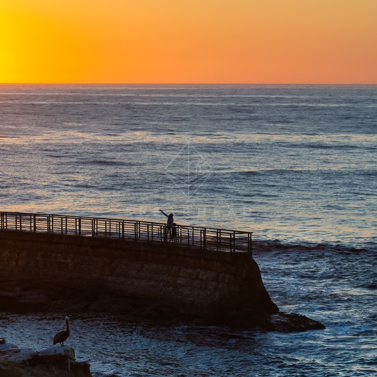Elevated view of the cliffs, wildlife and the ocean at La Jolla Cove.