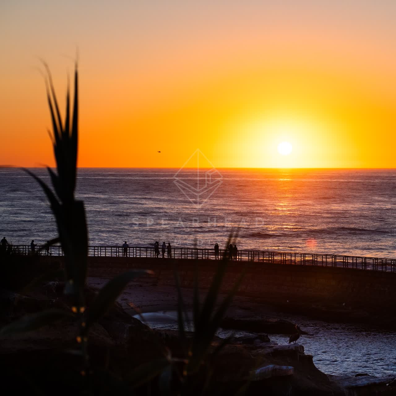 Elevated view of the cliffs, wildlife and the ocean at La Jolla Cove, with people walking.