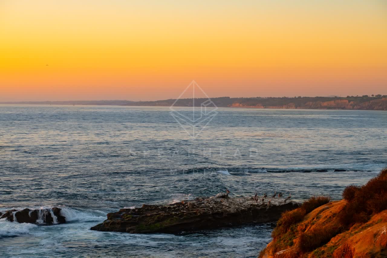 Elevated view of the cliffs, the surf and wildlife at La Jolla Cove.