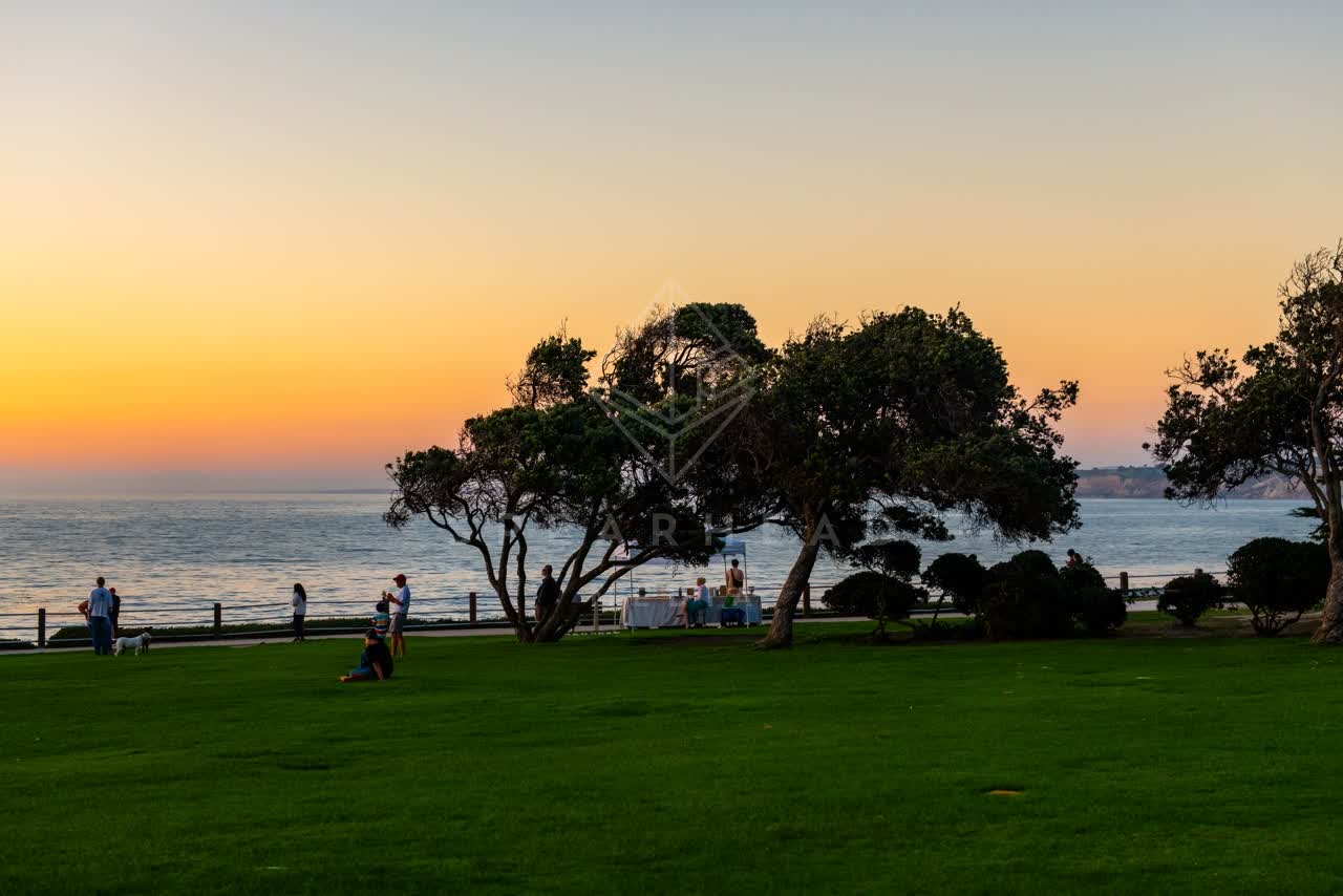 A park, wildlife and palm trees at La Jolla Cove, with a crowd gathered.