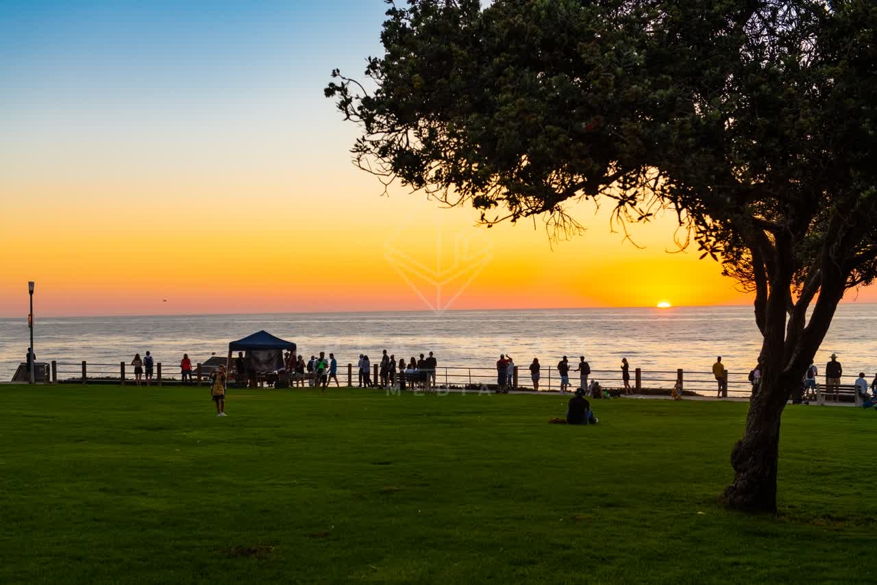 A park, palm trees and the ocean at La Jolla Cove, with a crowd gathered.