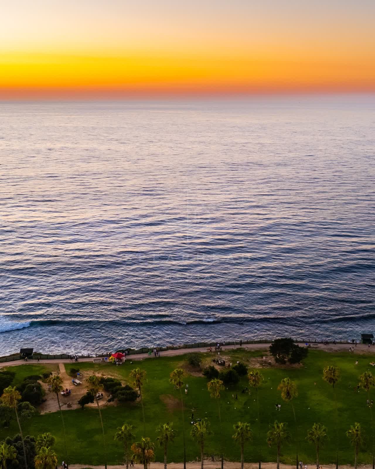 Aerial view of the cliffs, palm trees and the ocean at La Jolla Cove, with people walking.