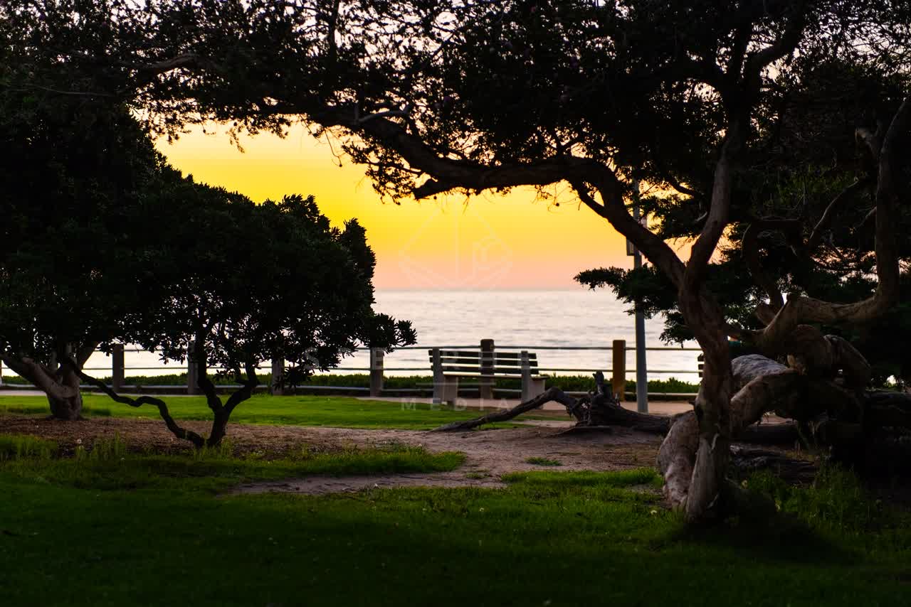 A park, palm trees and the ocean at La Jolla Cove.
