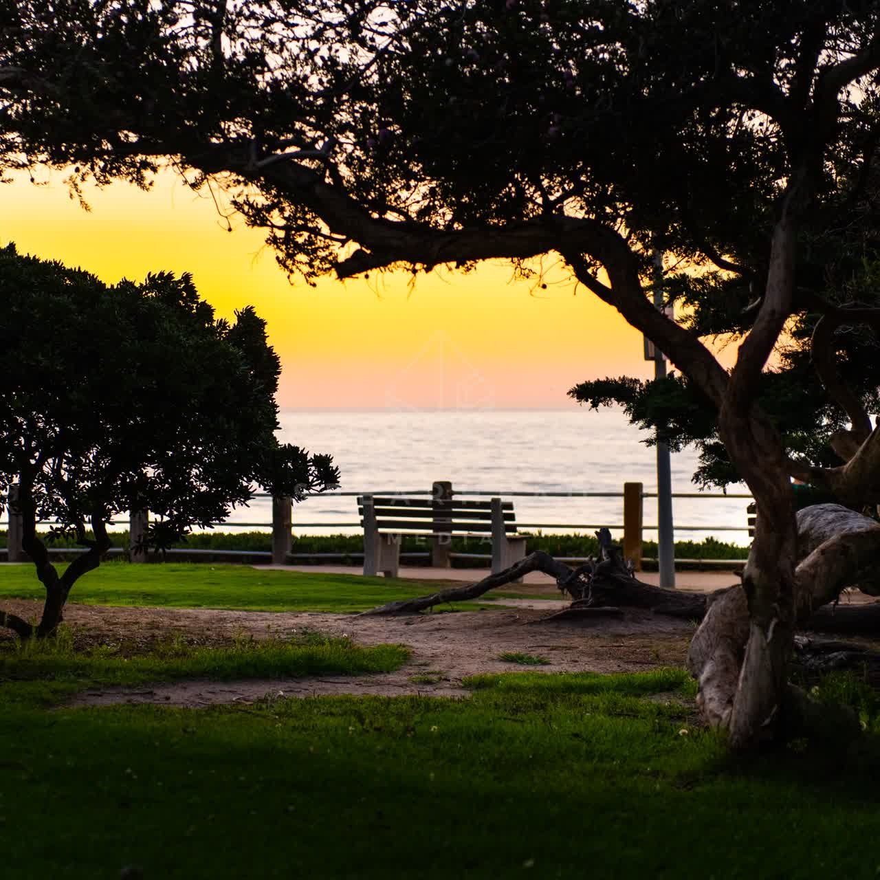 A park, palm trees and the ocean at La Jolla Cove.