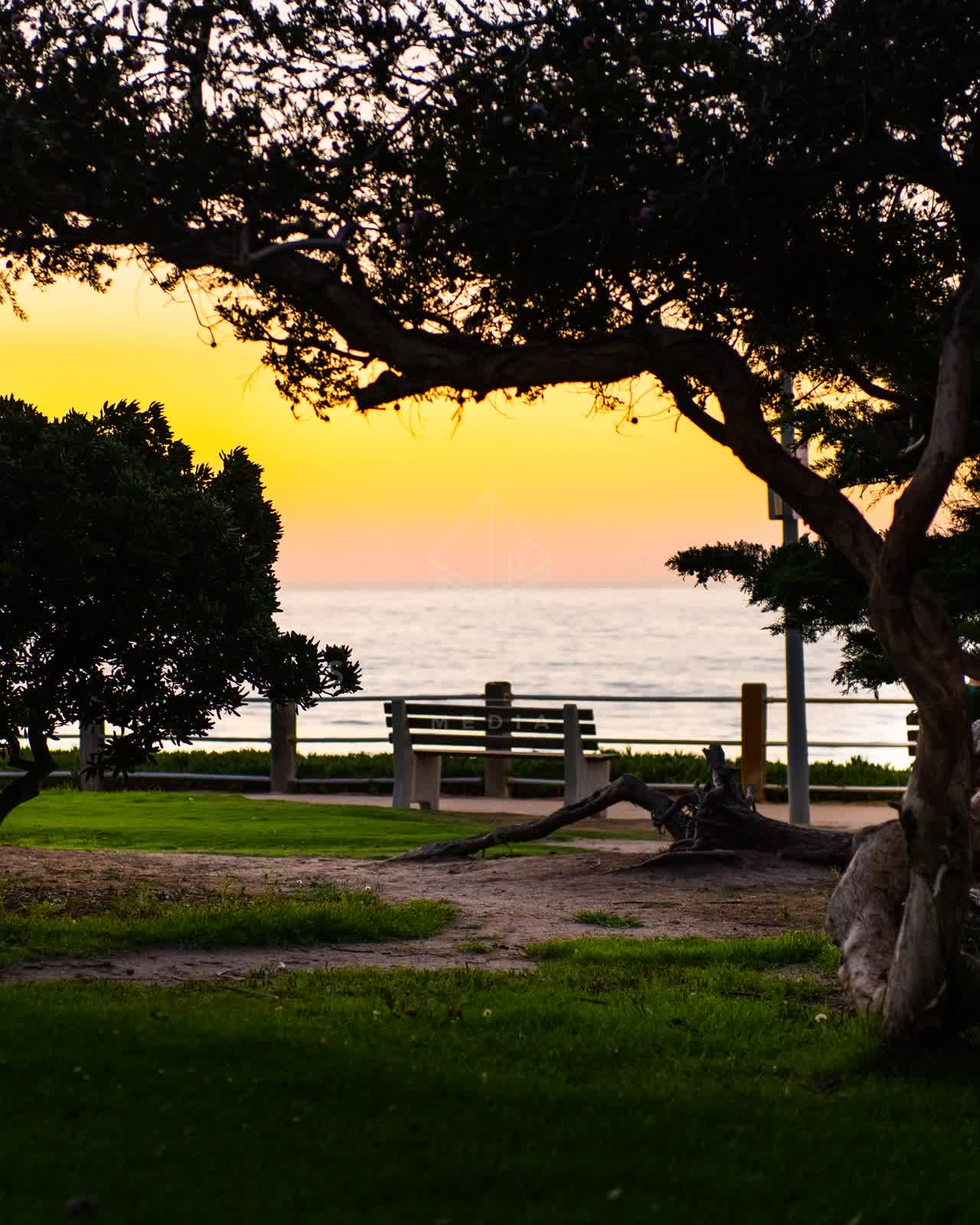 A park, palm trees and the ocean at La Jolla Cove.