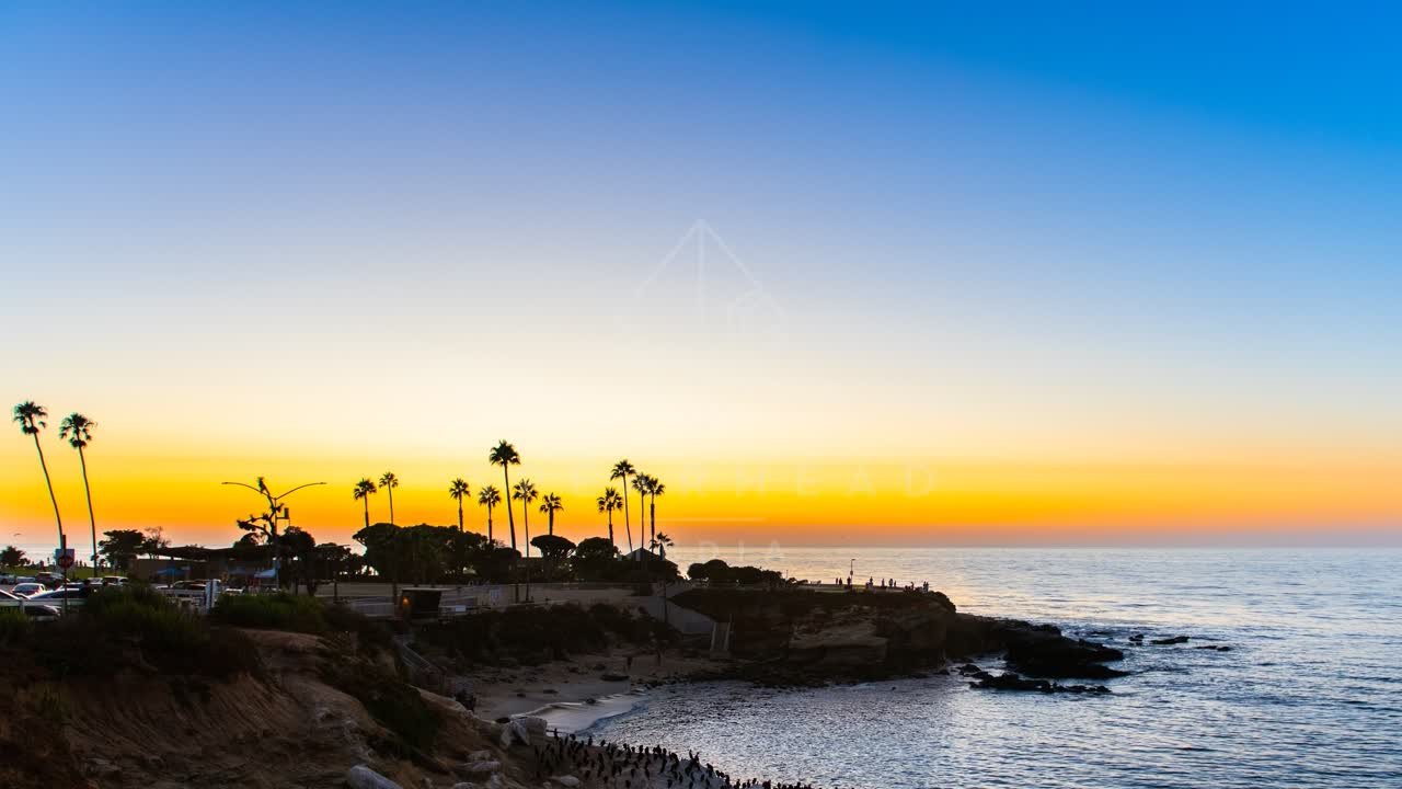 Elevated view of the cliffs, palm trees and the ocean at La Jolla Cove.