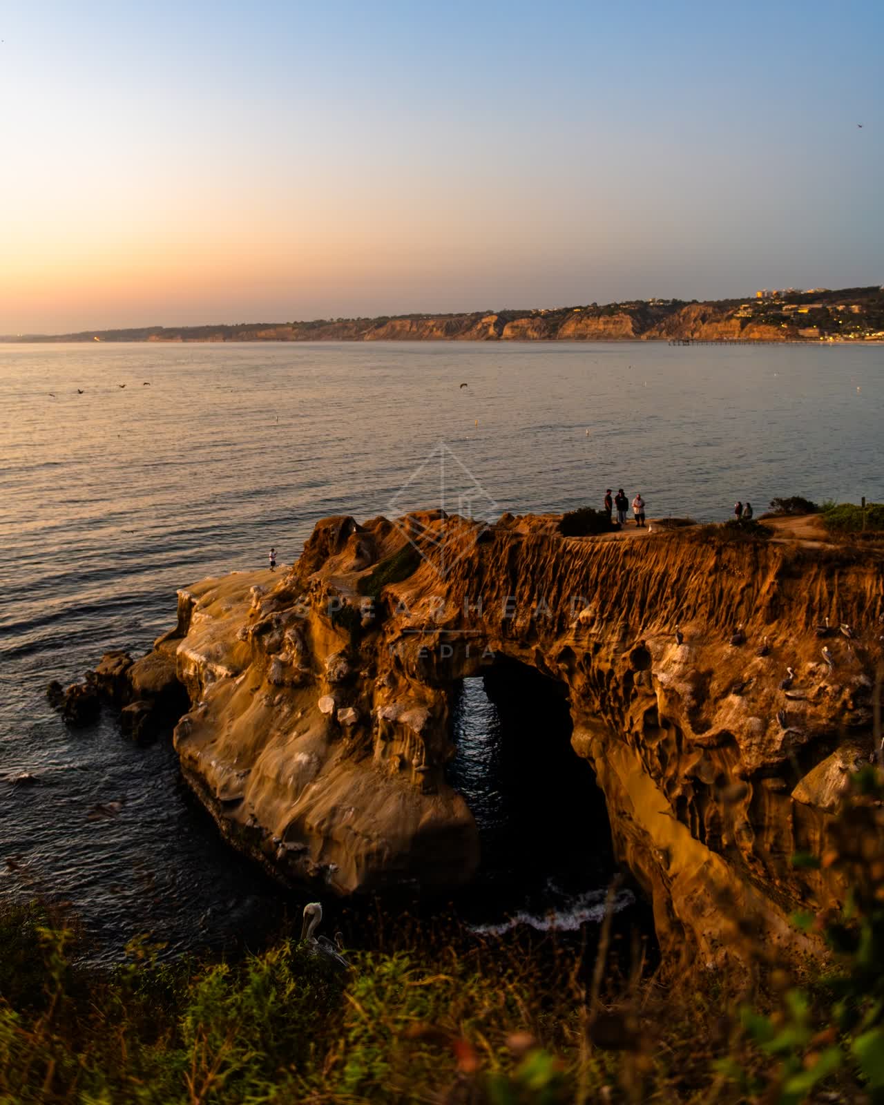 Elevated view of the cliffs, wildlife and the ocean at La Jolla Cove, with people walking.