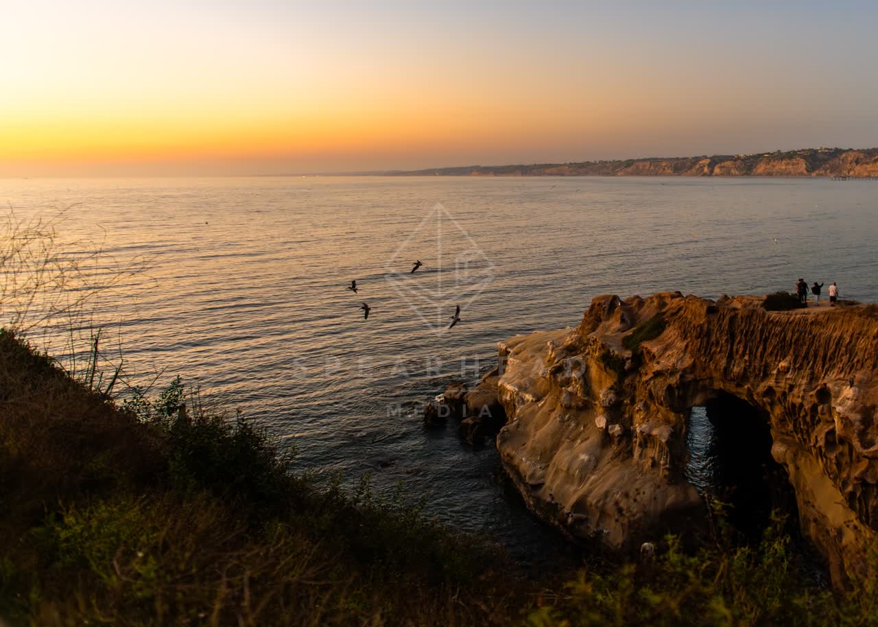 Elevated view of the cliffs, wildlife and the ocean at La Jolla Cove.