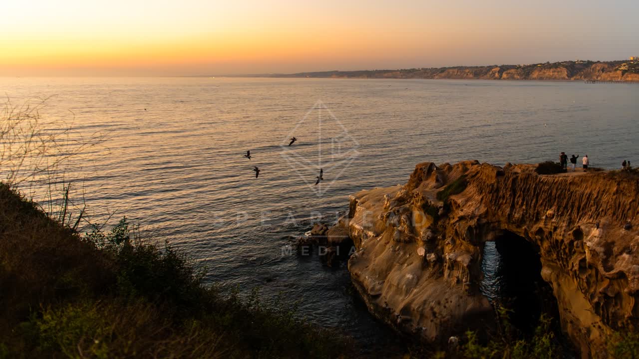 The cliffs, wildlife and the ocean at La Jolla Cove.