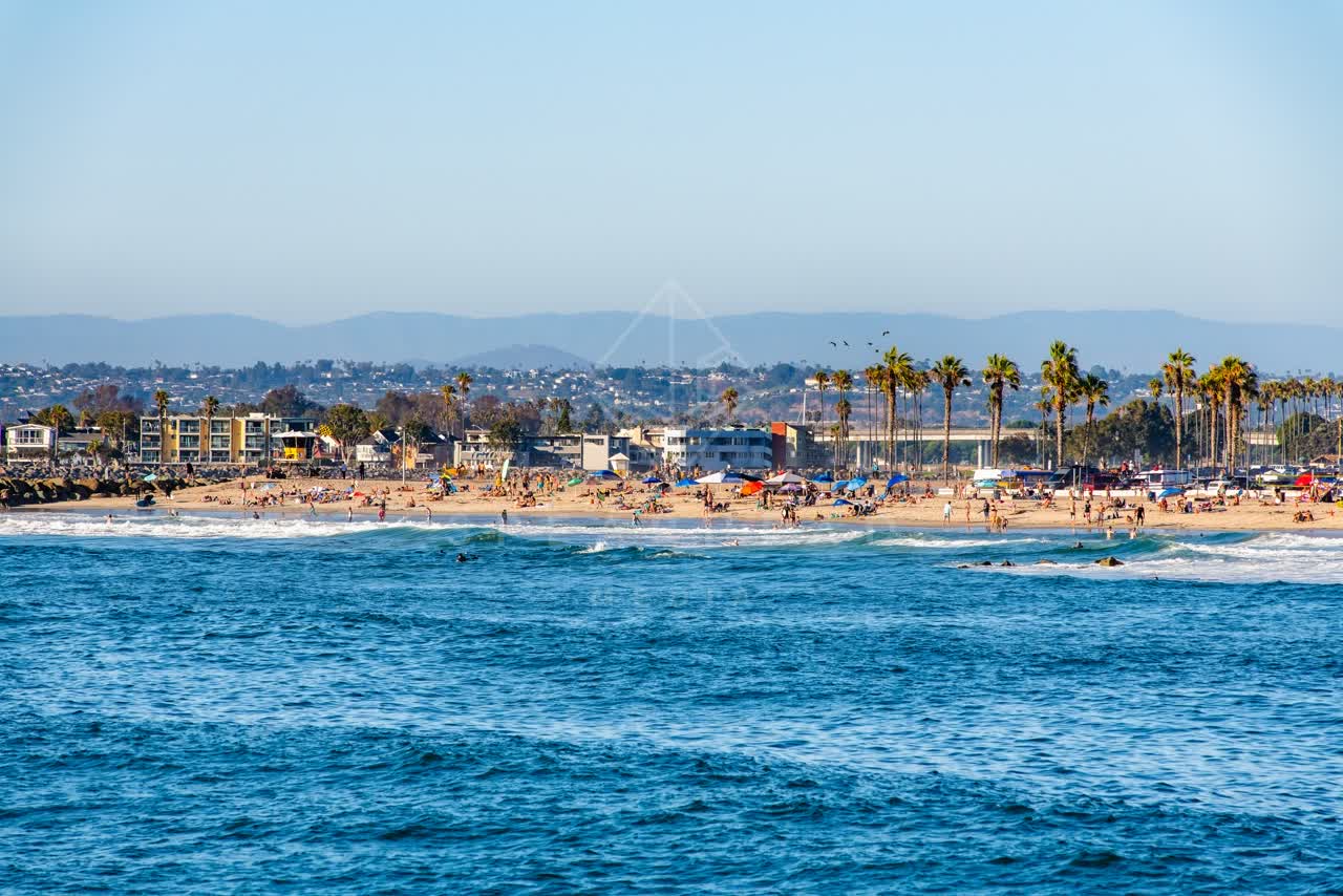 View from the water of the beach, the surf and palm trees in Ocean Beach, with swimmers in the water.