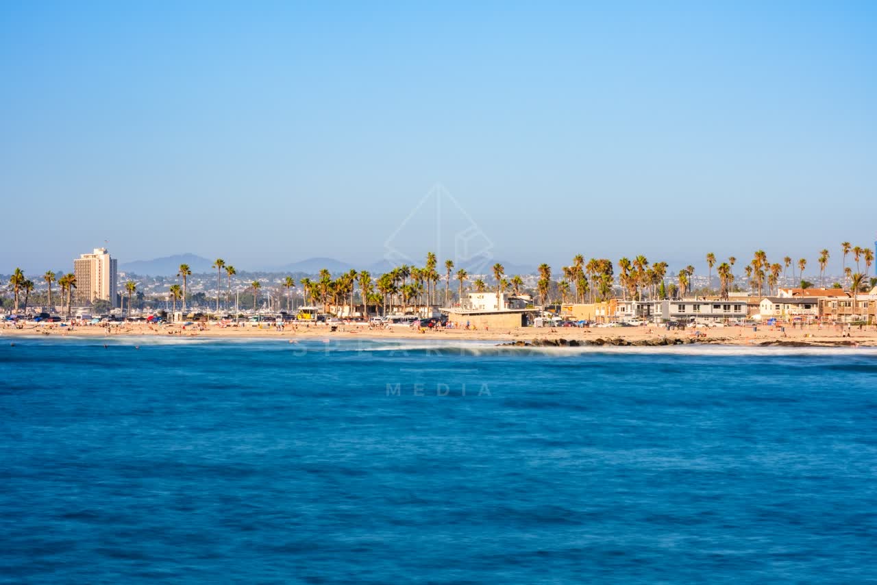 View from the water of the beach, palm trees and the ocean in Ocean Beach.