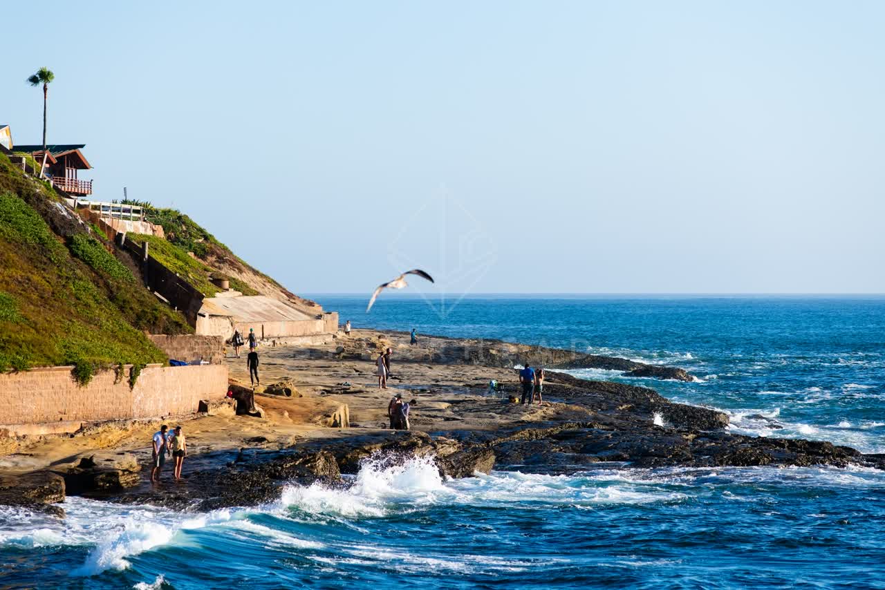 Elevated view of the cliffs, the surf and wildlife in Ocean Beach, with people walking.