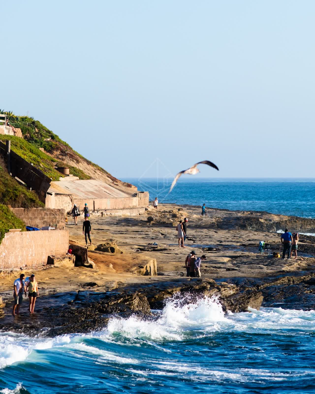 The cliffs, the surf and wildlife in Ocean Beach, with a crowd gathered.