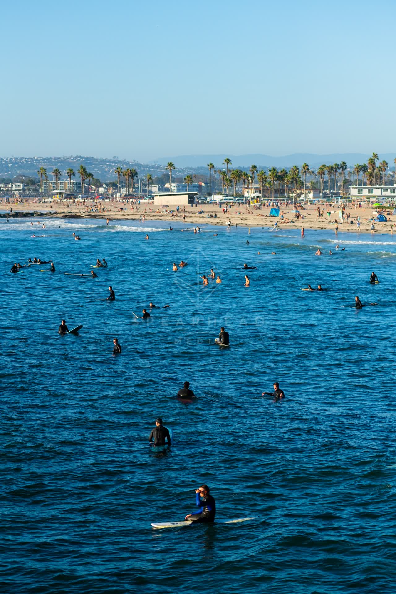 Elevated view of the beach, the surf and palm trees in Ocean Beach, with surfers out.