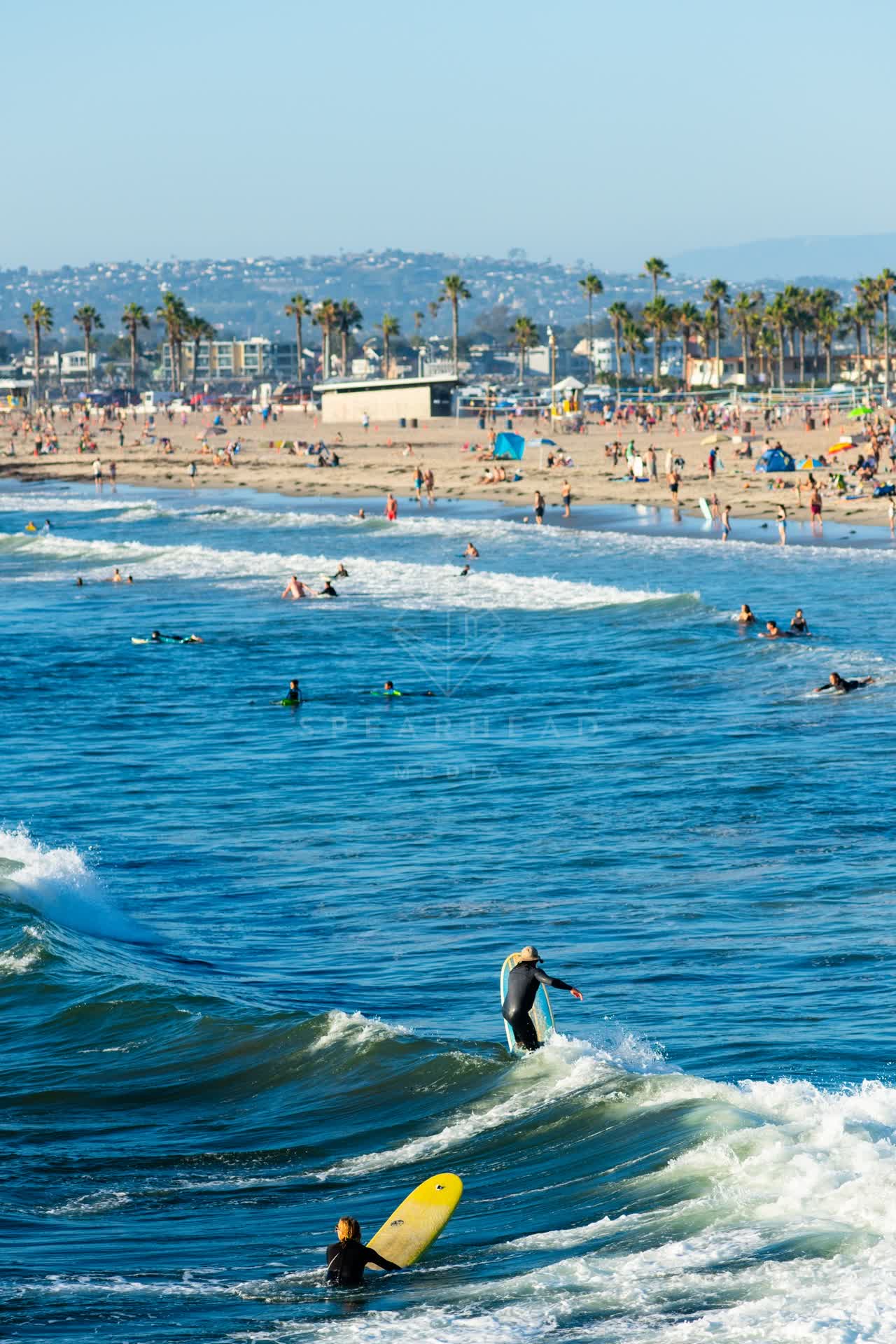 Elevated view of the beach, the surf and palm trees in Ocean Beach, with surfers out.