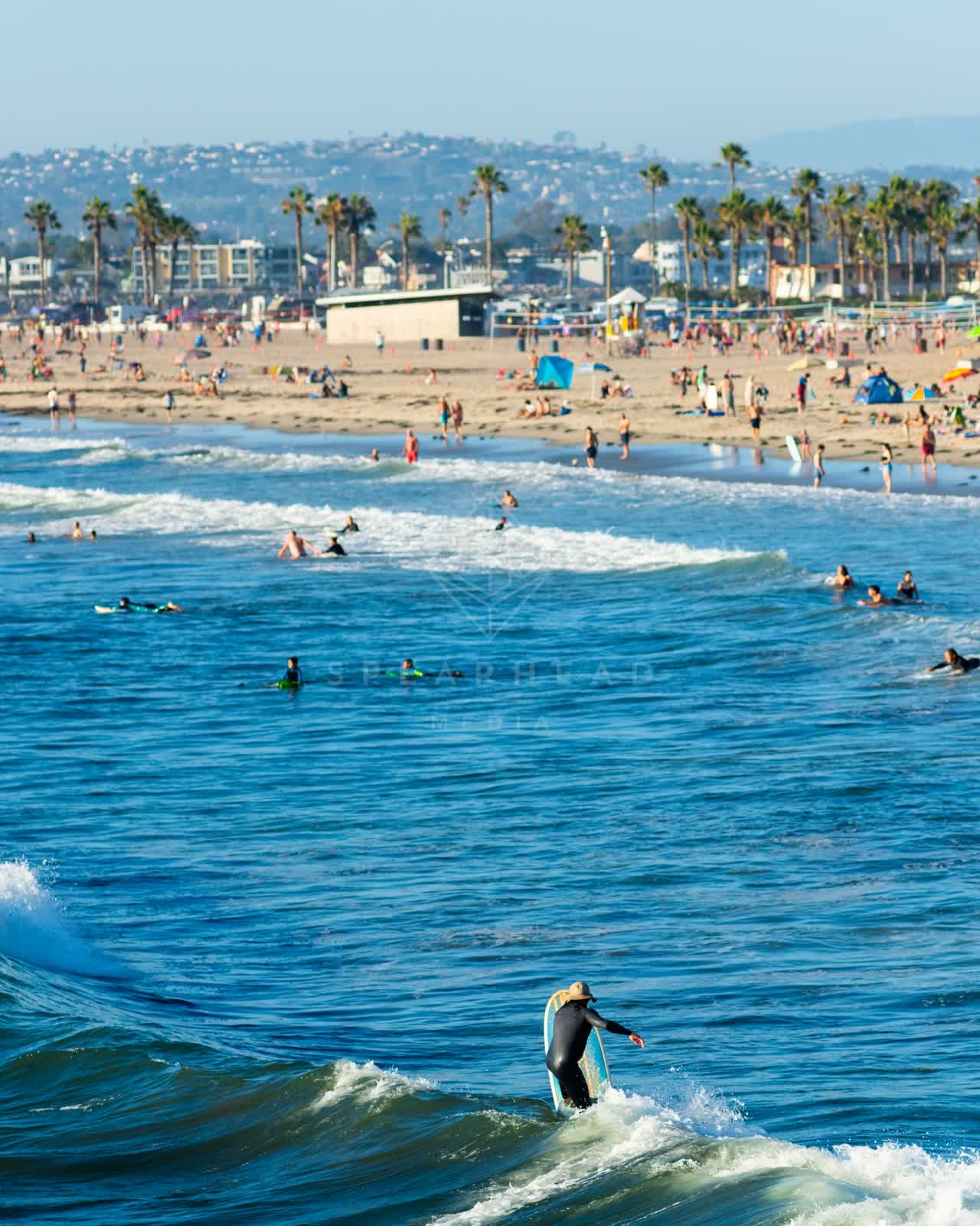 Elevated view of the beach, the surf and palm trees in Ocean Beach, with surfers out.