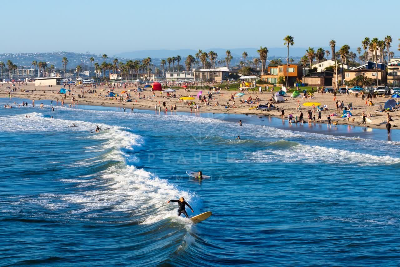 Elevated view of the beach, the surf and palm trees in Ocean Beach, with surfers out.