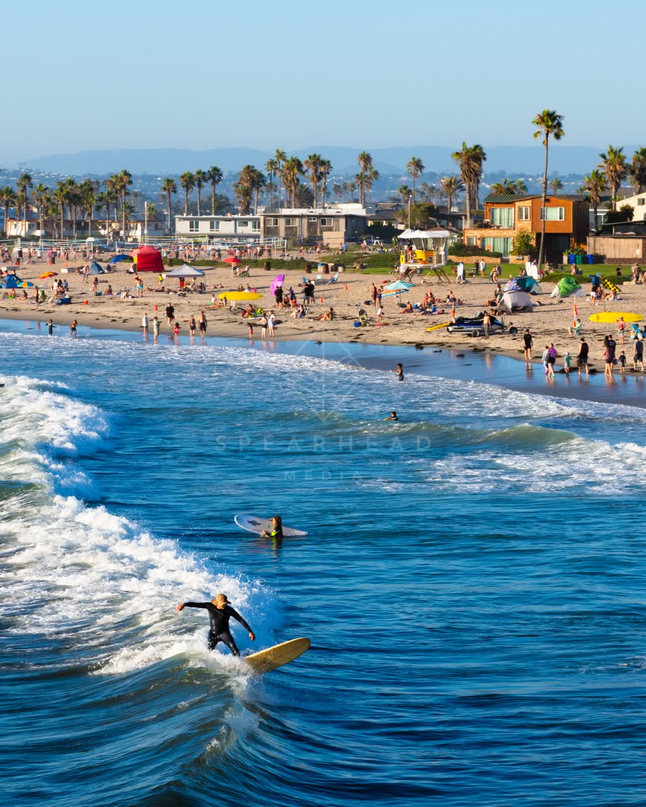 Elevated view of the beach, the surf and palm trees in Ocean Beach, with surfers out.