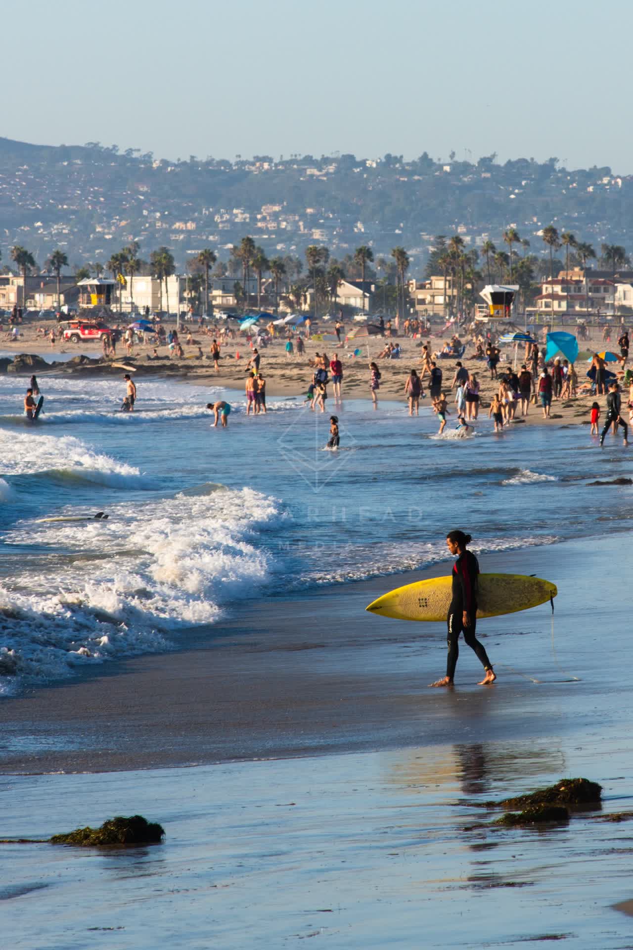 Elevated view of the beach, the surf and palm trees in Ocean Beach, with people walking.