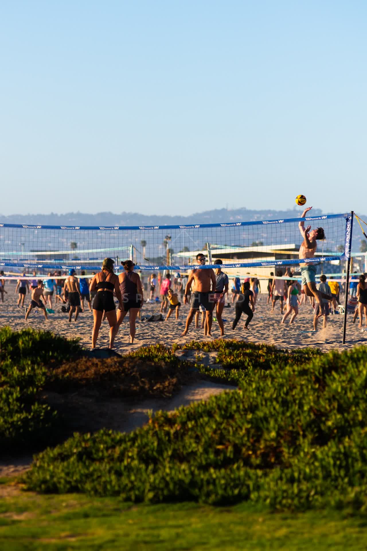 The beach and open country in Ocean Beach, with swimmers in the water.