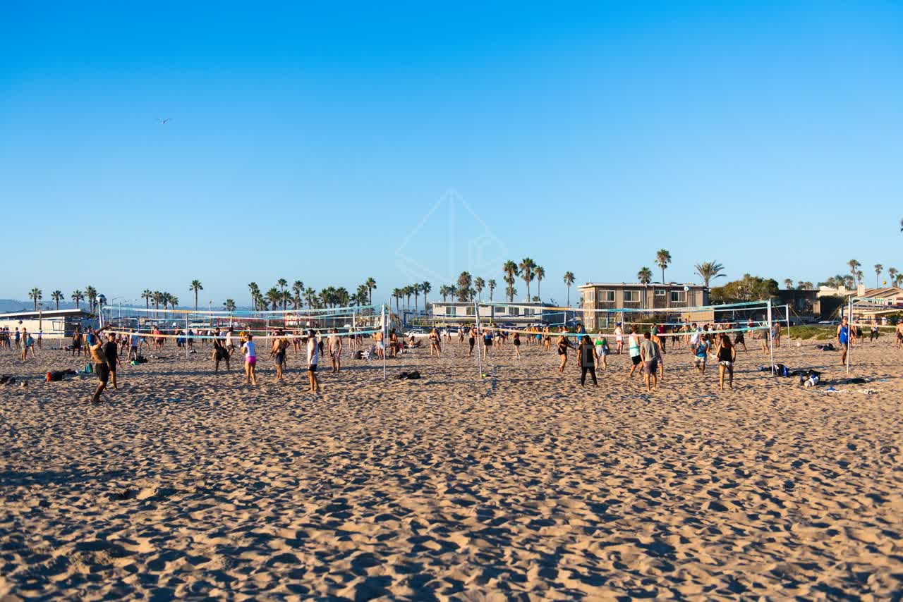The beach, palm trees and homes in Ocean Beach, with a crowd gathered.