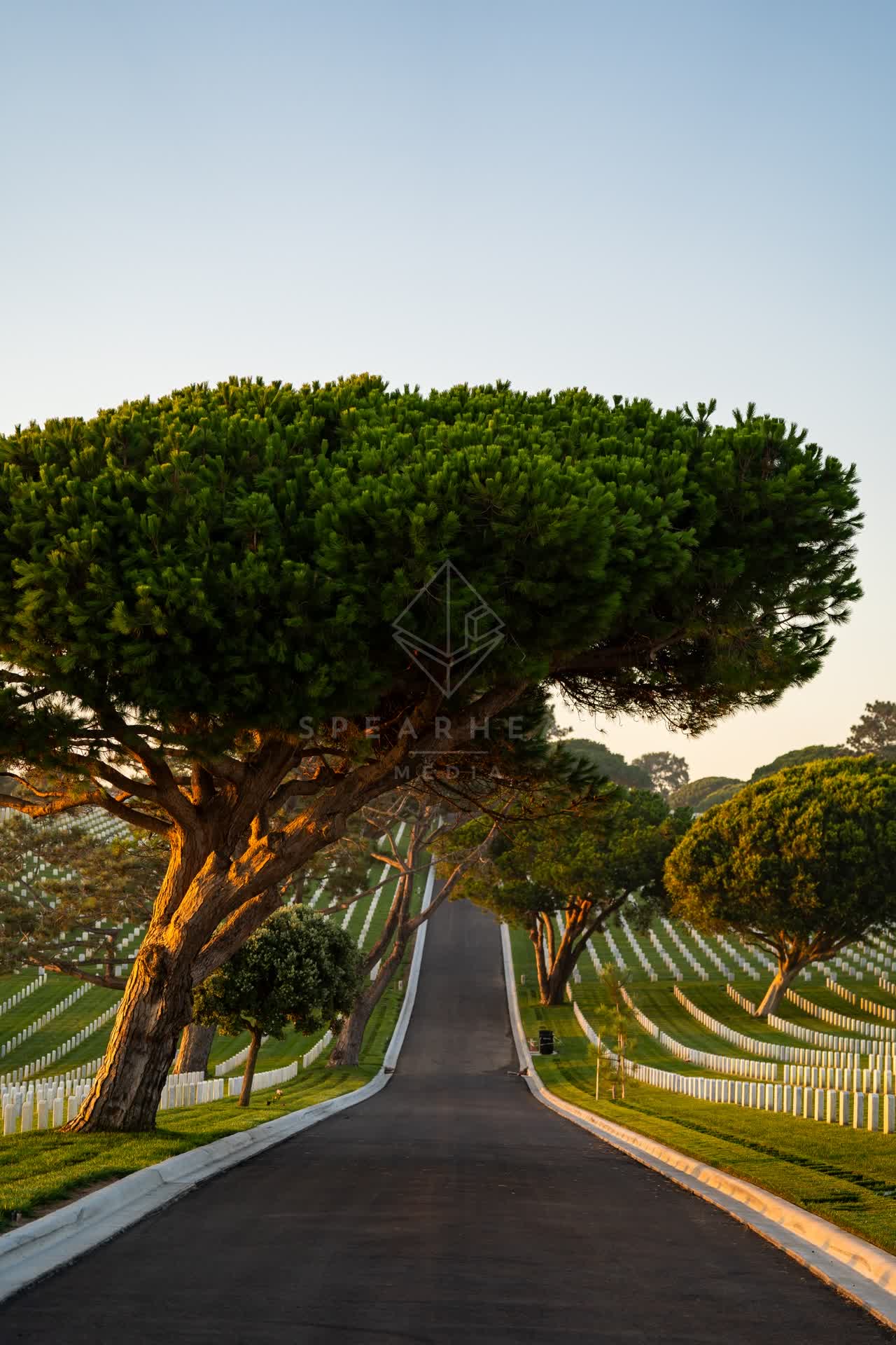 A park and open country at Fort Rosecrans.