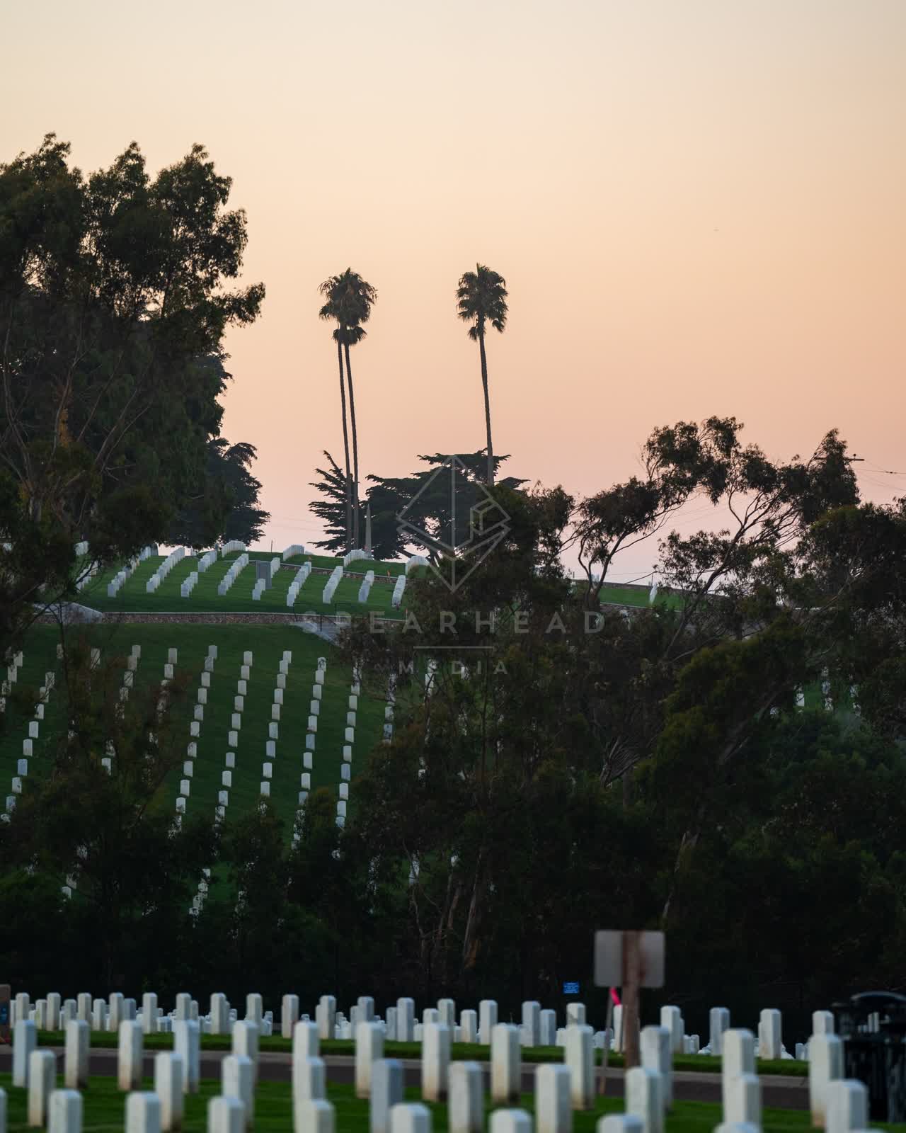 A park, palm trees and open country at Fort Rosecrans.