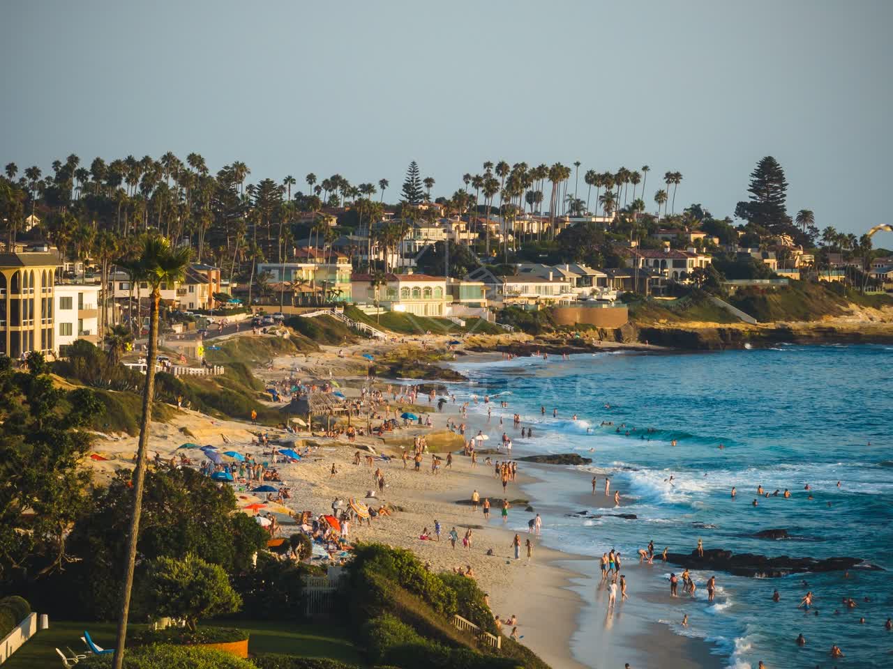 Low aerial view of the beach, the surf and palm trees at Windansea, with a crowd gathered.