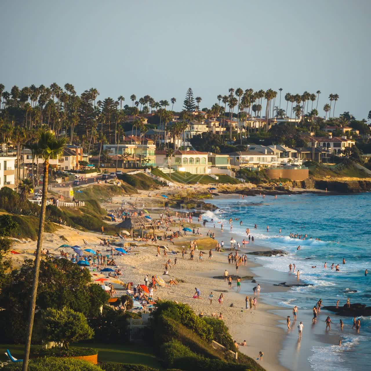 Elevated view of the beach, the surf and palm trees at Windansea, with people walking.