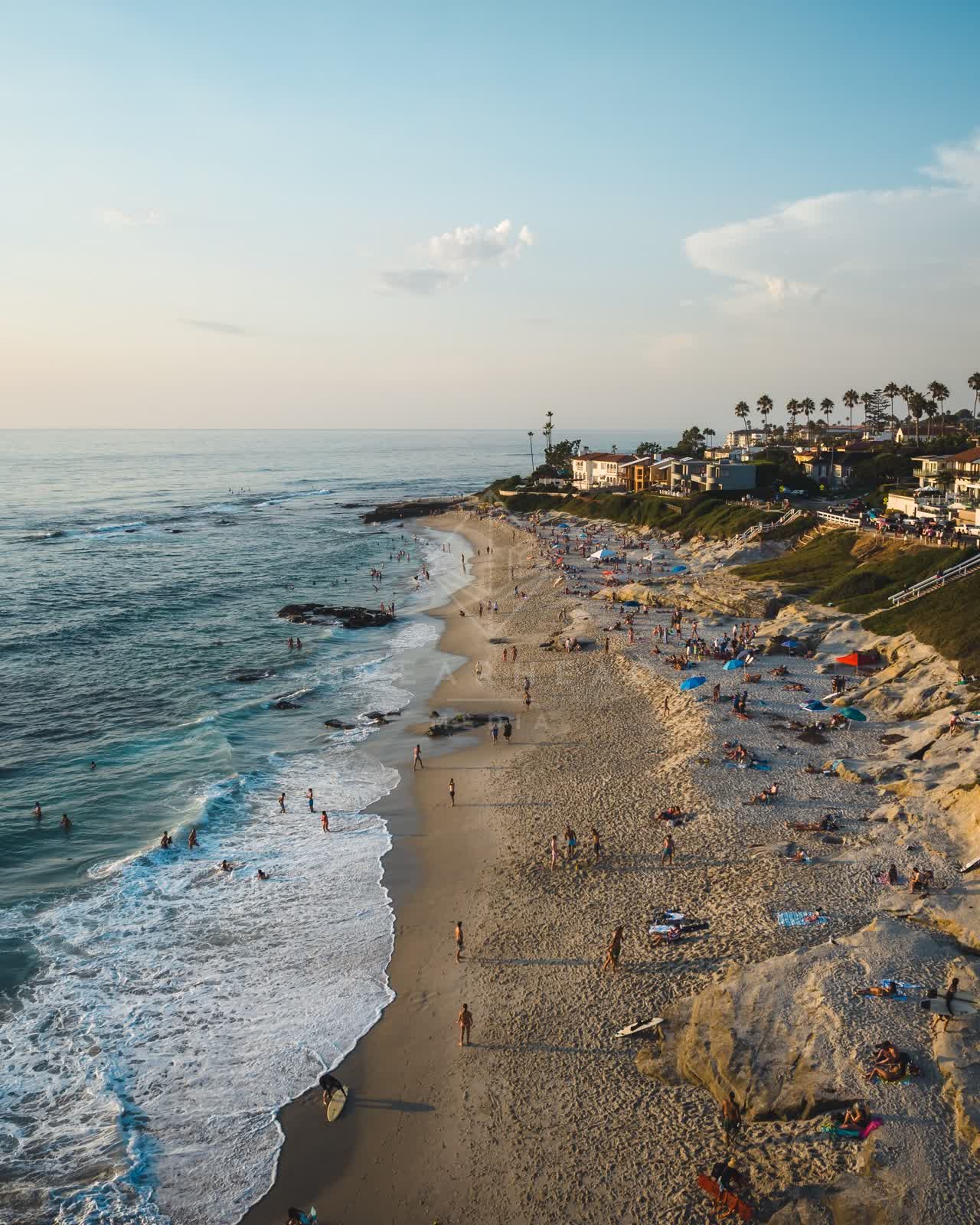 Aerial view of the beach, the surf and palm trees at Windansea, with swimmers in the water.