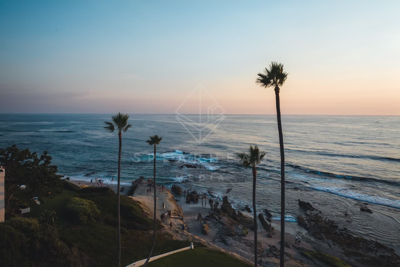 Elevated view of the beach, palm trees and the ocean at Windansea, with a crowd gathered.