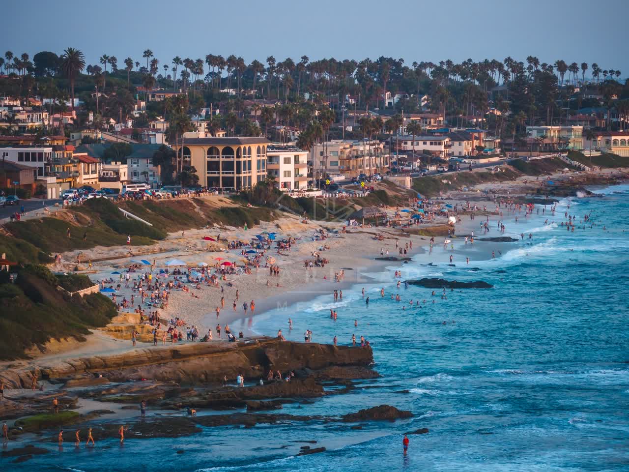 Aerial view of the beach, the surf and palm trees at Windansea, with a crowd gathered.