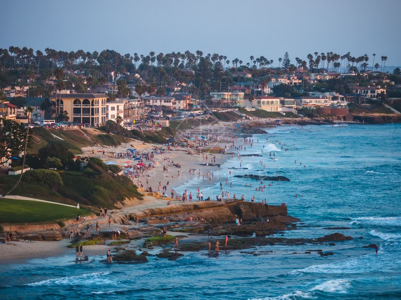Aerial view of the beach, the surf and palm trees at Windansea, with swimmers in the water.