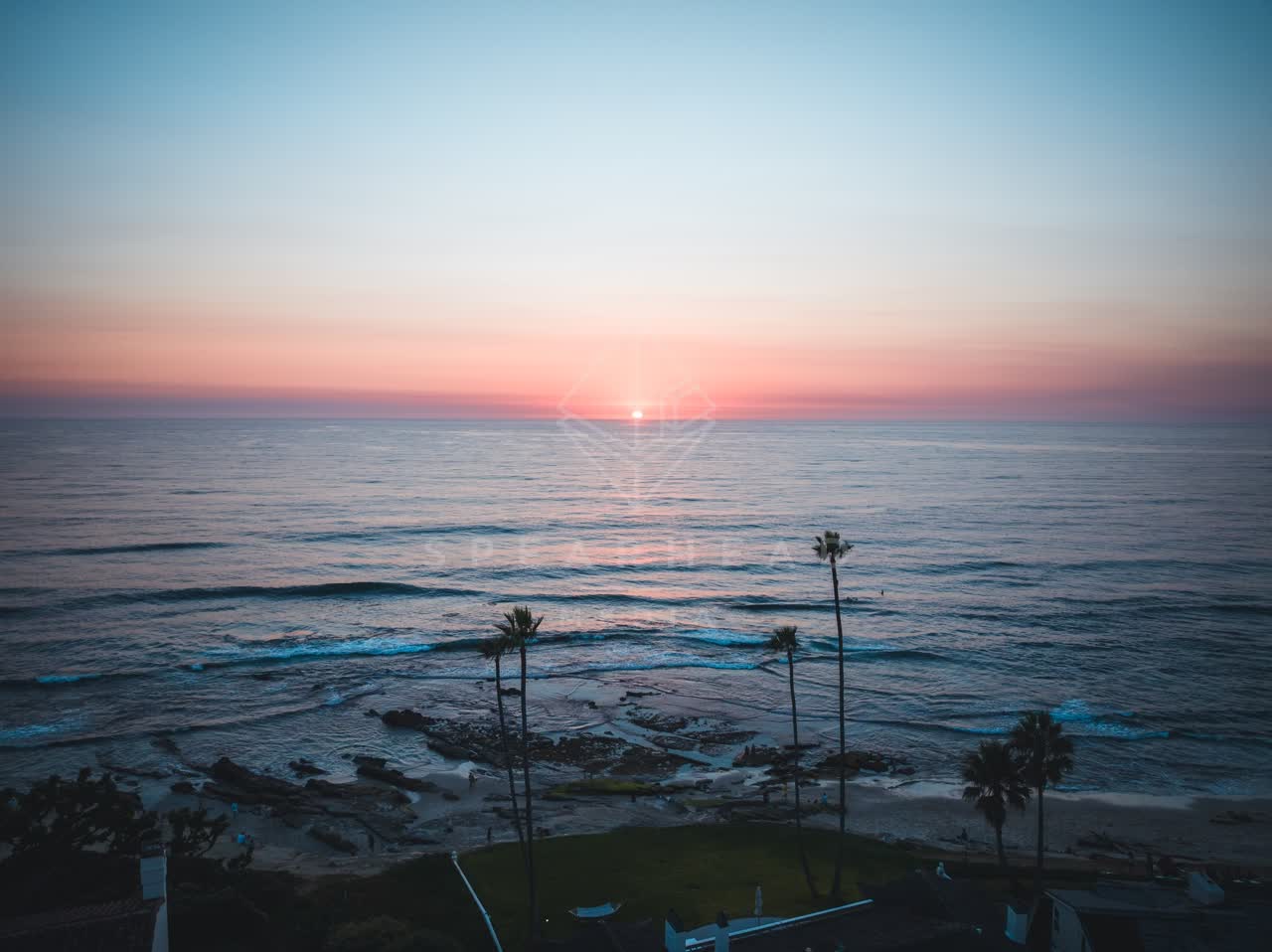 Low aerial view of the beach, the surf and palm trees at Windansea.