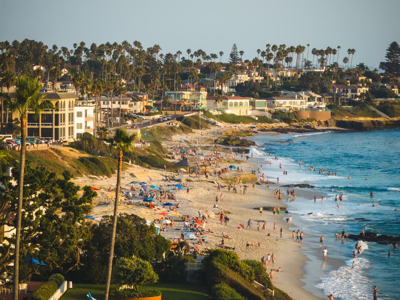 Elevated view of the beach, the surf and palm trees at Windansea, with a crowd gathered.