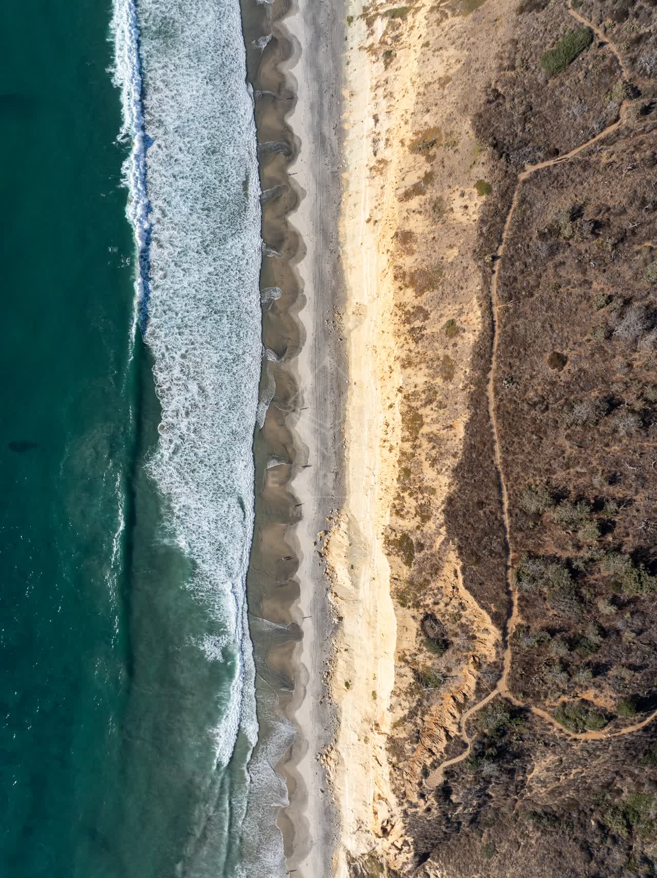 Aerial view of the beach, the surf and the ocean at Torrey Pines.