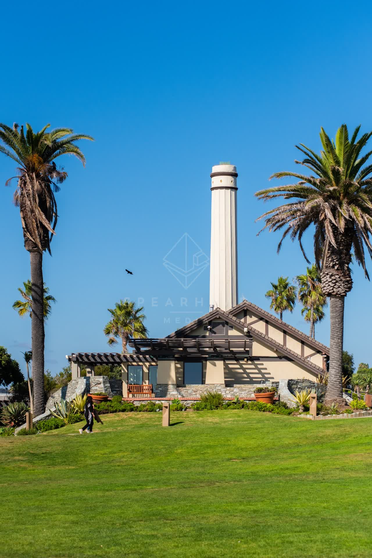 A park, wildlife and palm trees at Powerhouse Park, with people walking.