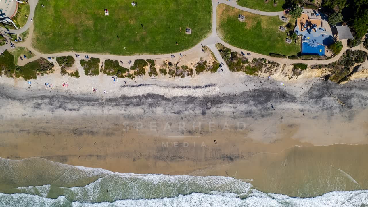 Aerial view of the beach, the surf and palm trees at Powerhouse Park, with people walking.