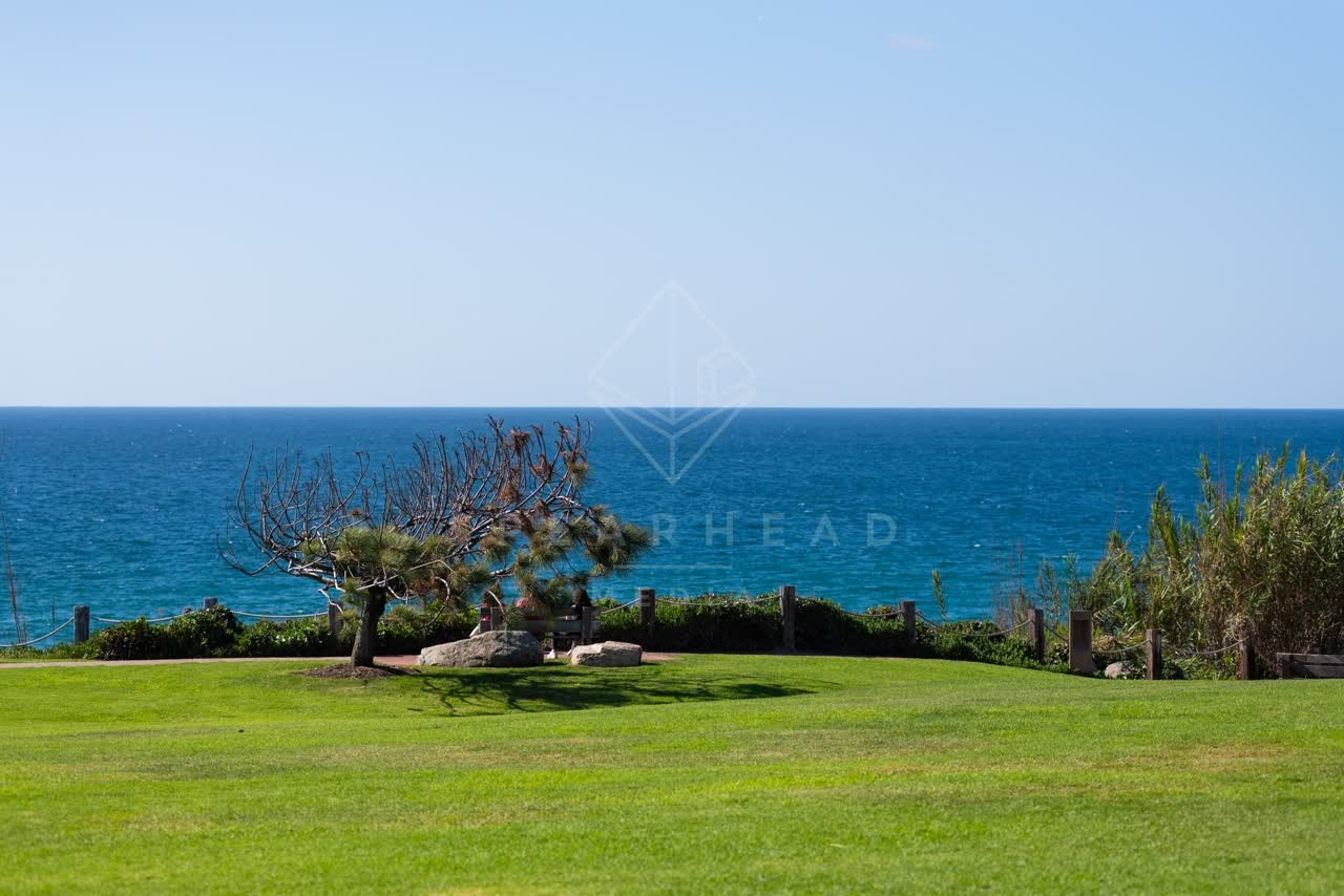 Elevated view of the cliffs, the ocean and open country at Powerhouse Park.