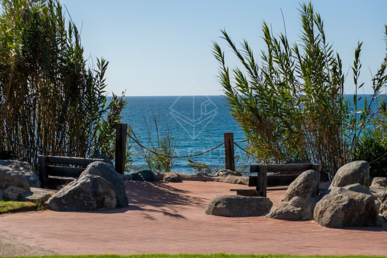 A park, palm trees and the ocean at Powerhouse Park.