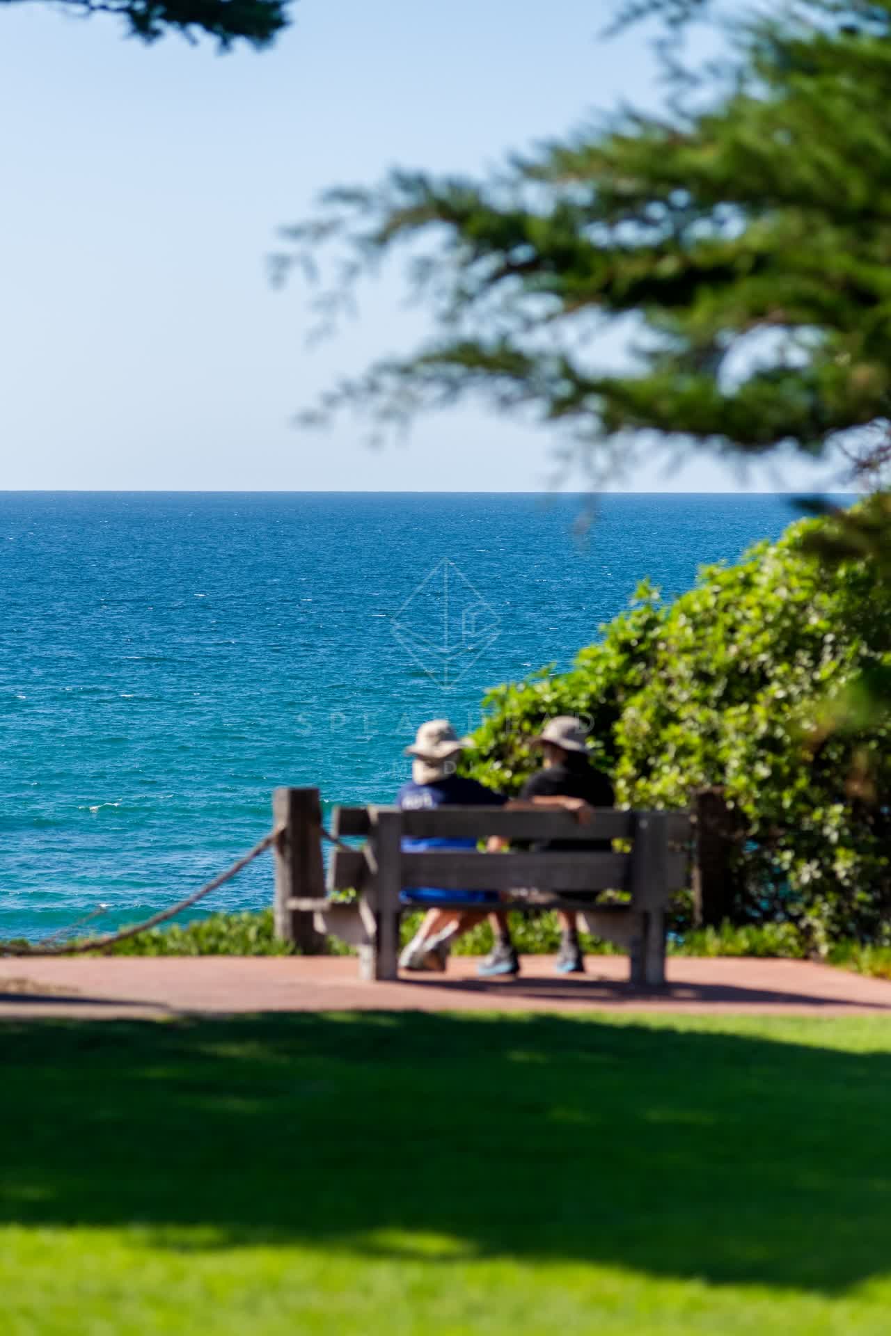 Elevated view of a park, the ocean and the beach at Powerhouse Park, with a crowd gathered.