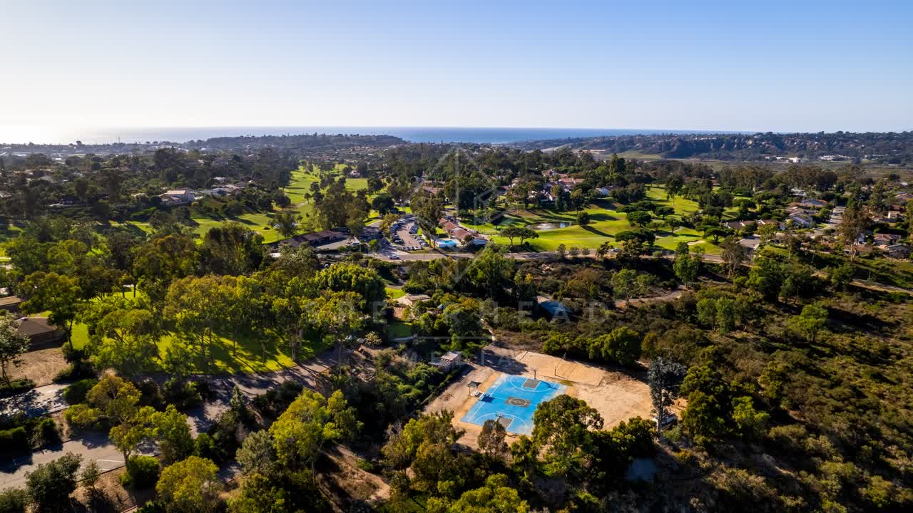 Aerial view of a residential street, palm trees and the ocean in Solana Beach.