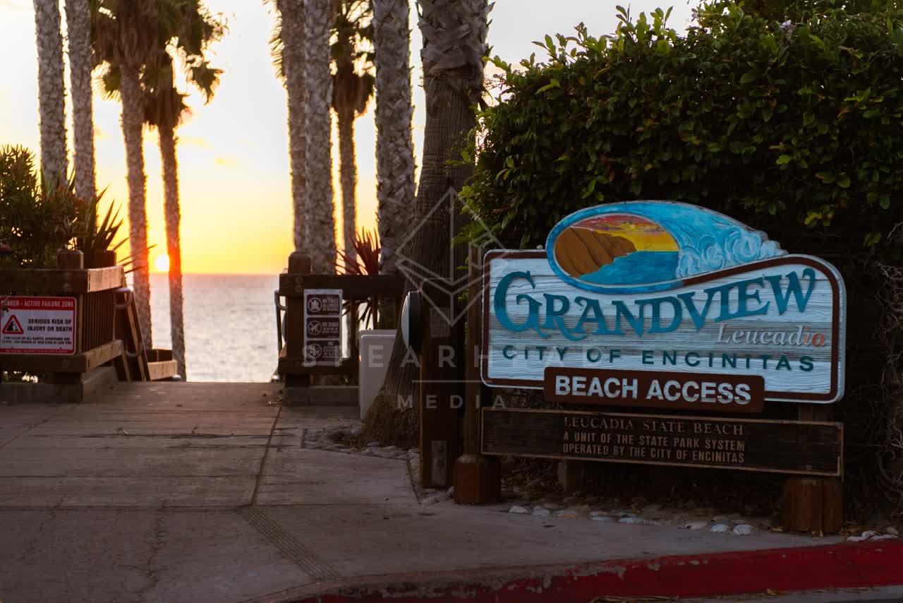 The beach, palm trees and the ocean in Encinitas.