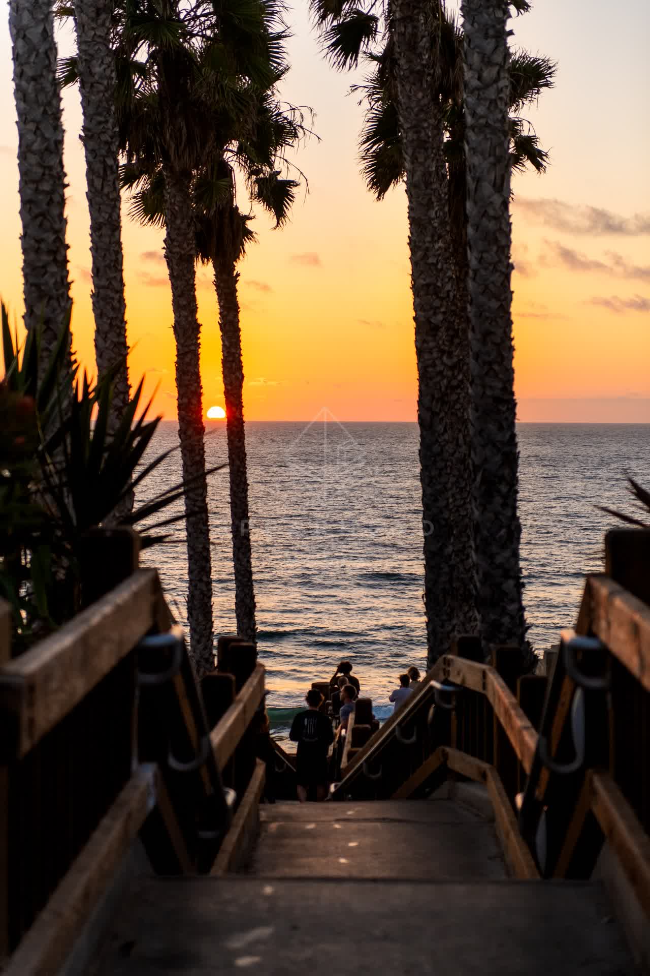 Elevated view of the beach, palm trees and the ocean in Encinitas, with people walking.