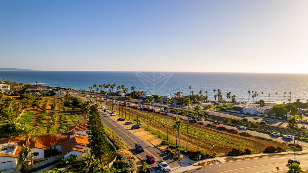 Aerial view of a residential street, palm trees and the ocean at Swamis.