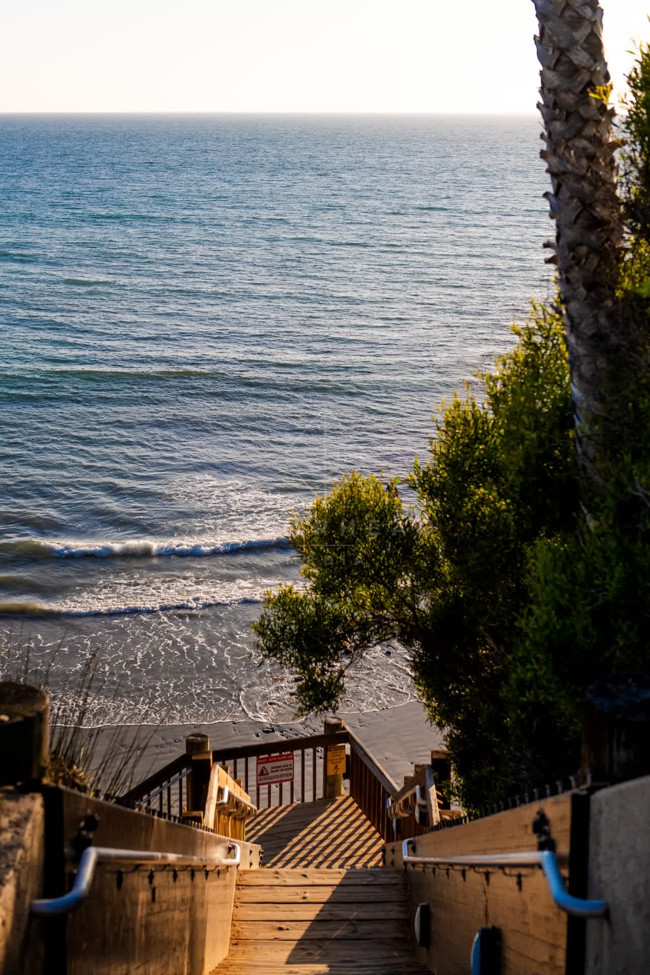 Elevated view of the cliffs, the surf and palm trees at Swamis.