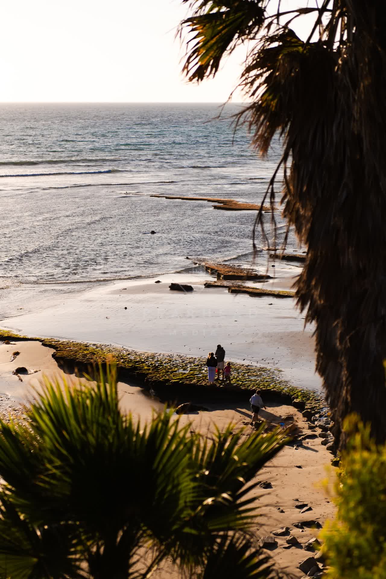 Elevated view of the beach, the surf and palm trees at Swamis, with people walking.
