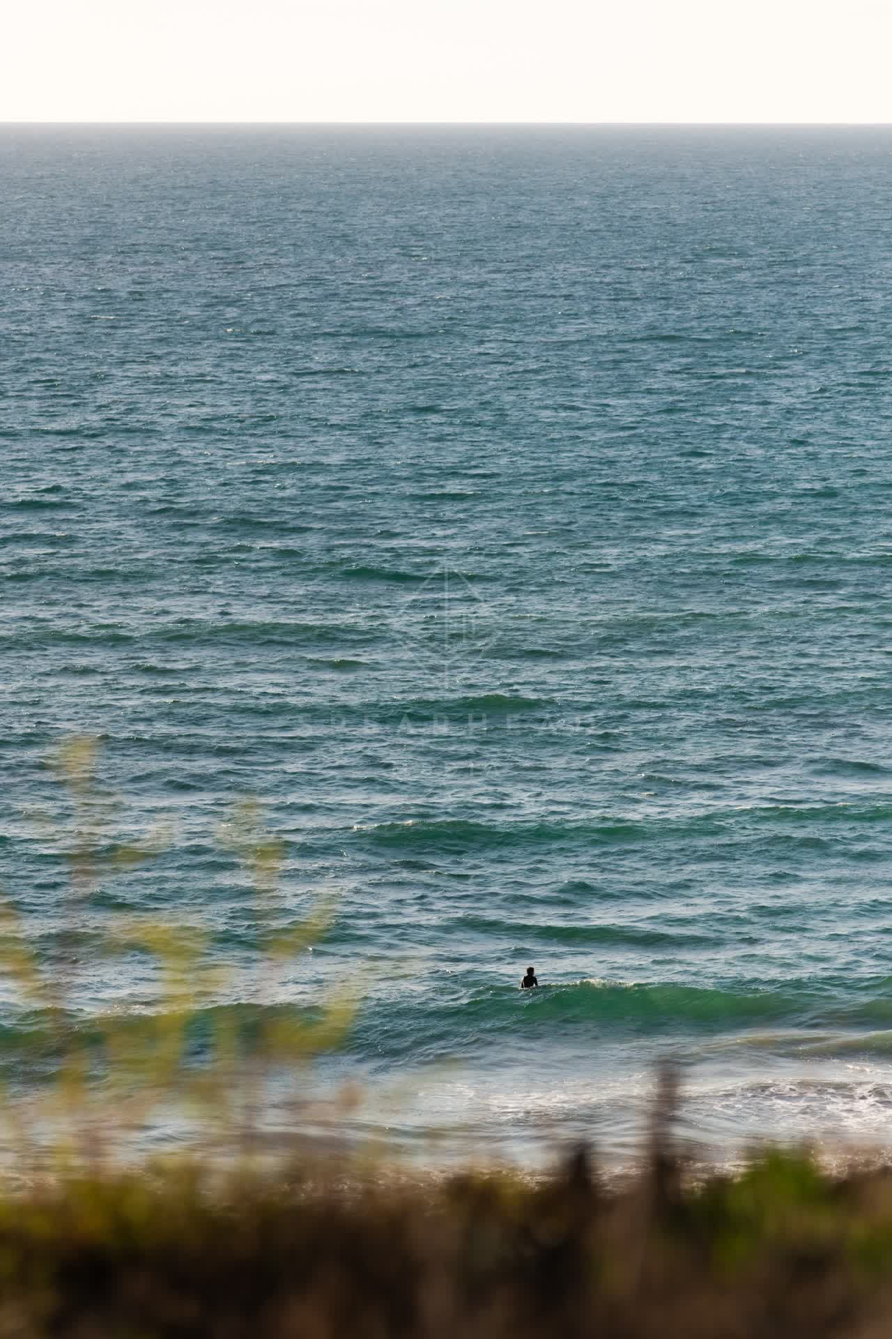 Elevated view of the cliffs, the ocean and open country at Fletcher Cove, with swimmers in the water.